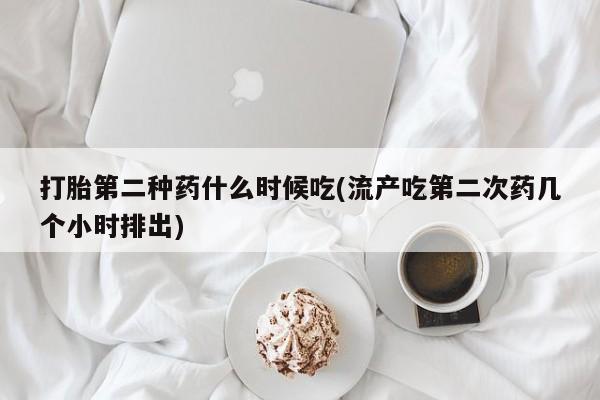 打胎药使用打胎第二种药什么时候吃(流产吃第二次药几个小时排出)